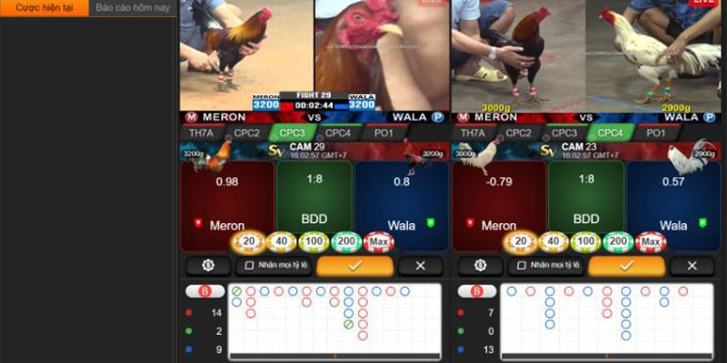 Nhà cái SV388 mang đến livestream đá gà trực tiếp sắc nét.