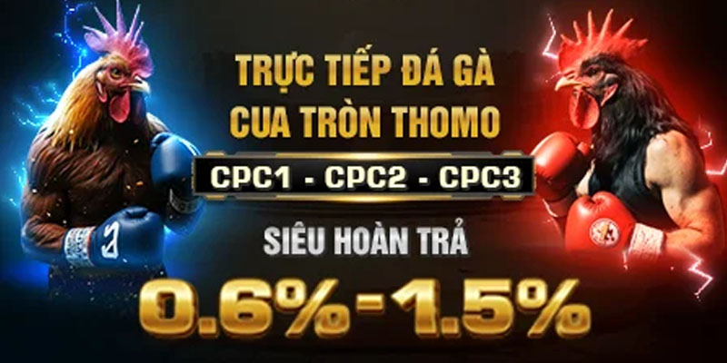 Tải app SV388 để cá cược đá gà tiện lợi mọi lúc mọi nơi.