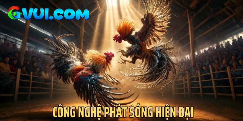Công nghệ phát sóng tại trường gà C2 cực hiện đại