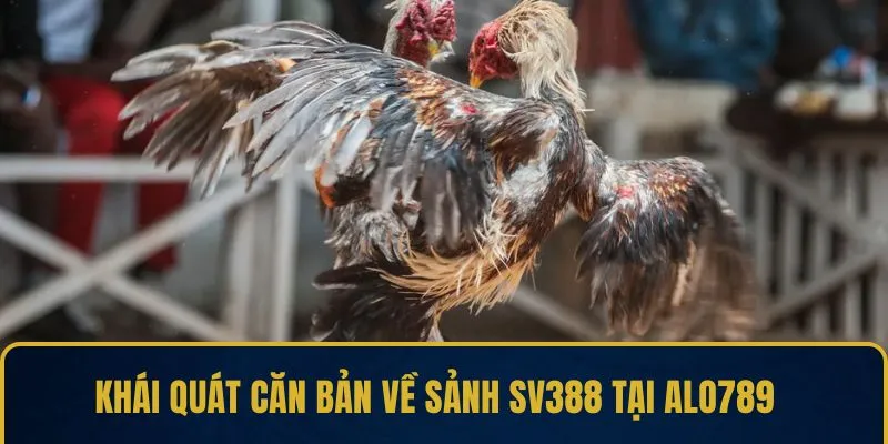 Khái quát căn bản về sảnh SV388 tại ALO789