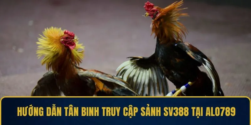 Hướng dẫn tân binh truy cập sảnh SV388 tại ALO789